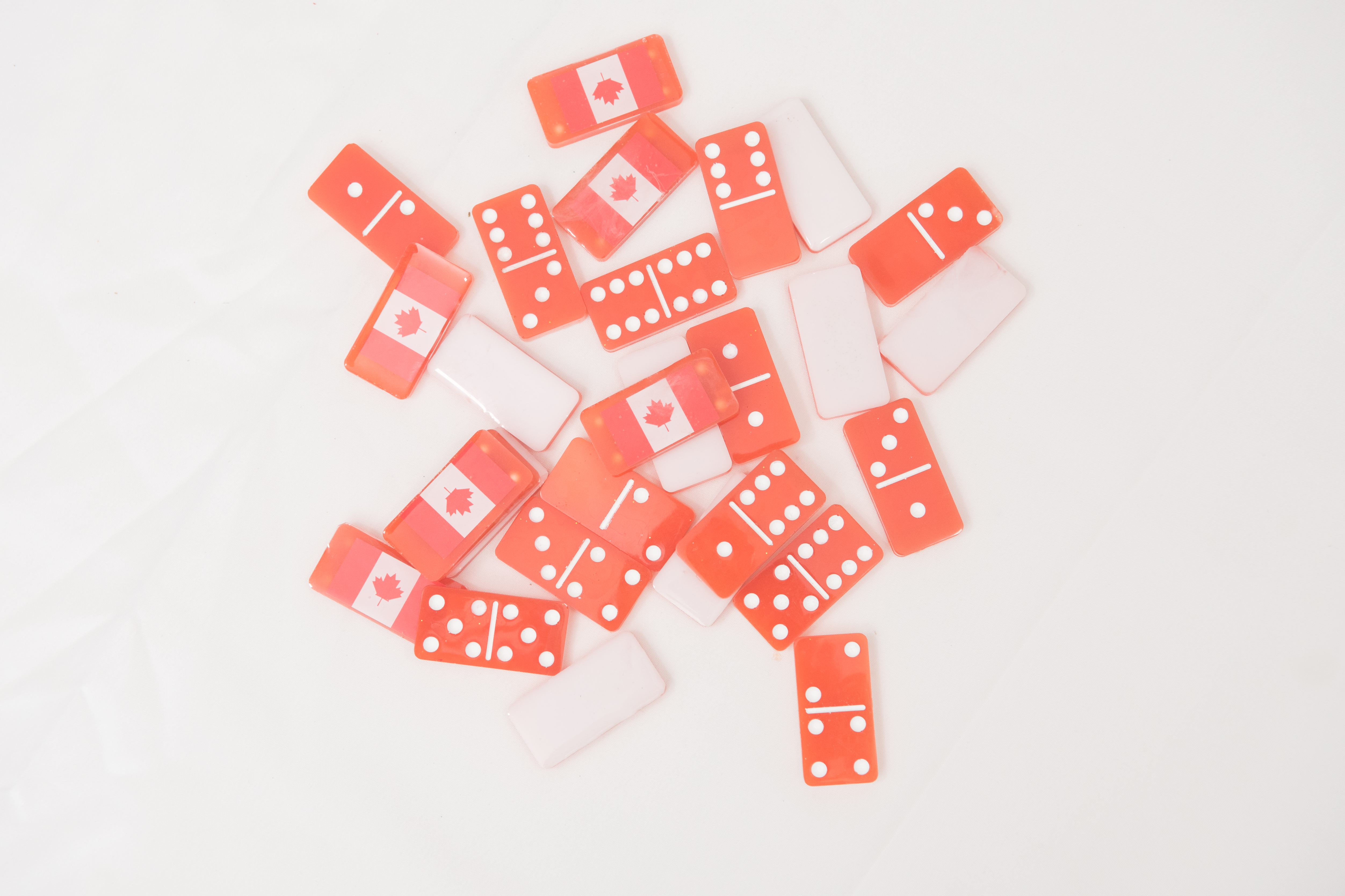 Resin Domino Set