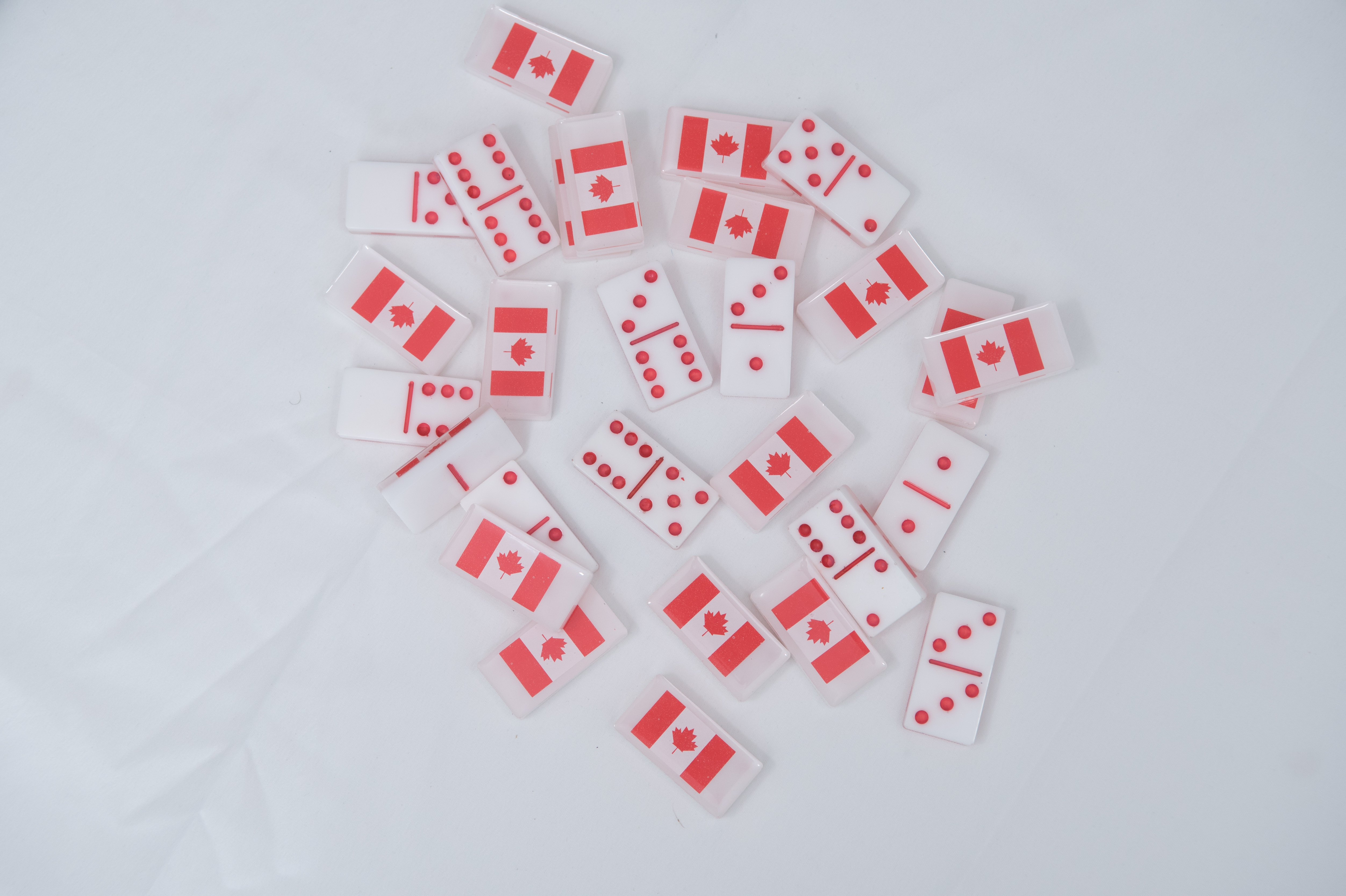 Resin Domino Set
